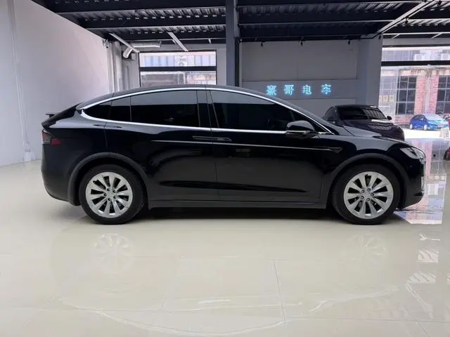 Tesla Model X 100D long battery life version