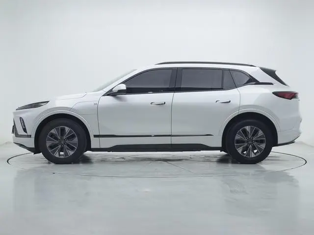 Buick Buick E5 Smart Enjoy Standard Battery Life Version