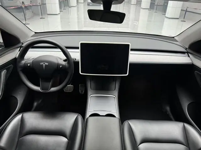 Tesla Model Y Rear-wheel drive version