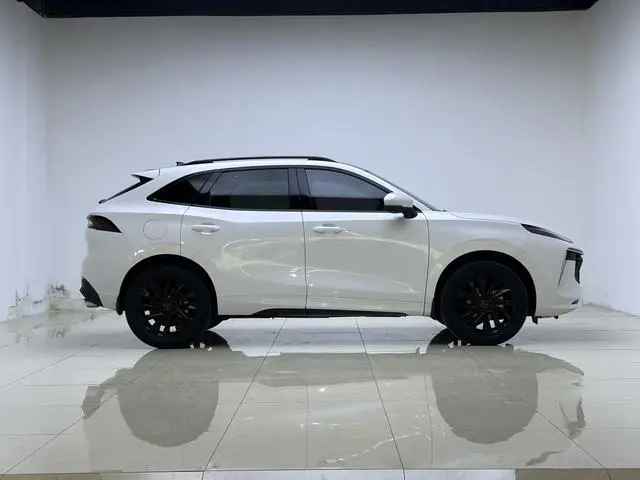 Dongfeng Fengxing Popular T5 EVO 1.5TD DCT Xingyao Edition