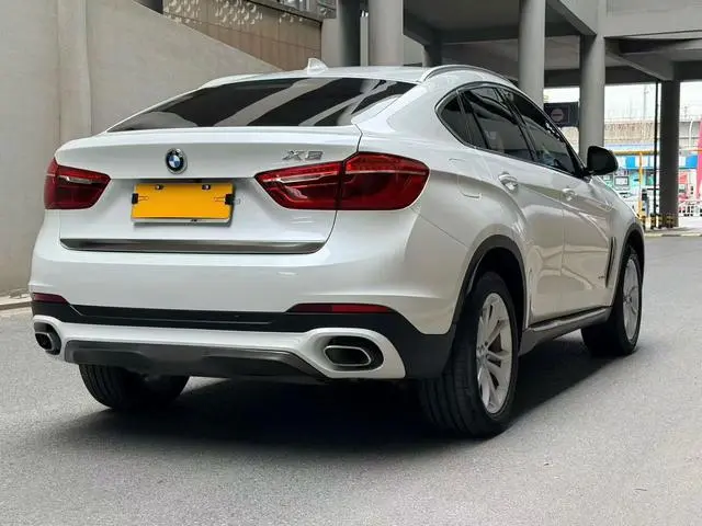 BMW BMW X6 xDrive35i leading type
