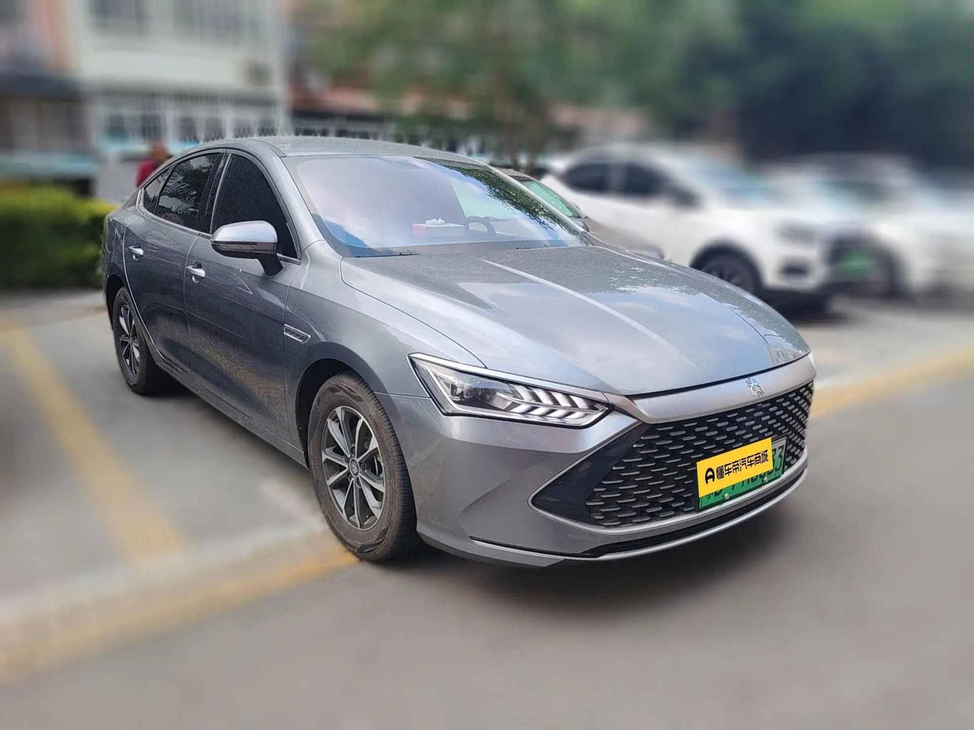 BYD Qin PLUS DM DM-i Champion Edition 55KM Leading Type