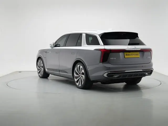 Hongqi Hongqi E-HS9 660km flag collar version four seats