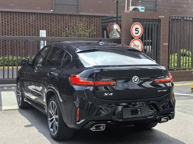 BMW BMW X4 xDrive 30i M sports suit