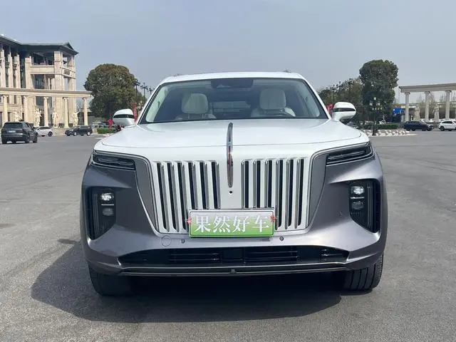 Hongqi Hongqi E-HS9 510km flag collar version four seats