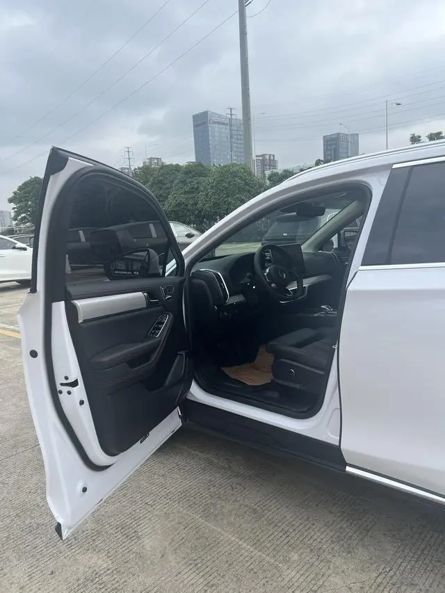 BYD Tang DM DM 2.0T full-time four-wheel drive Zhilian Chuangling 5-seater country VI