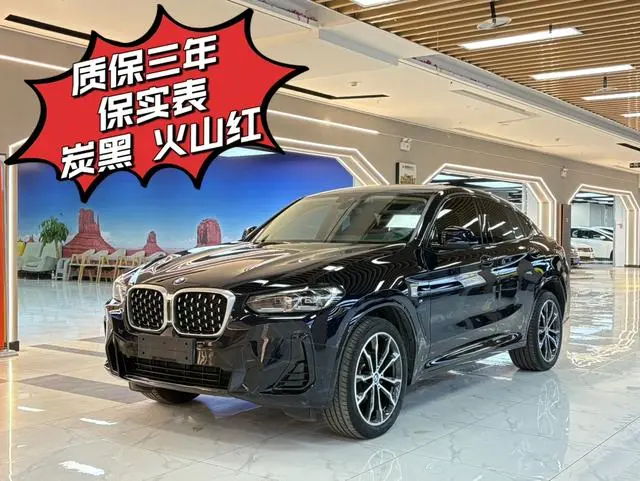 BMW BMW X4 xDrive 30i M sports suit