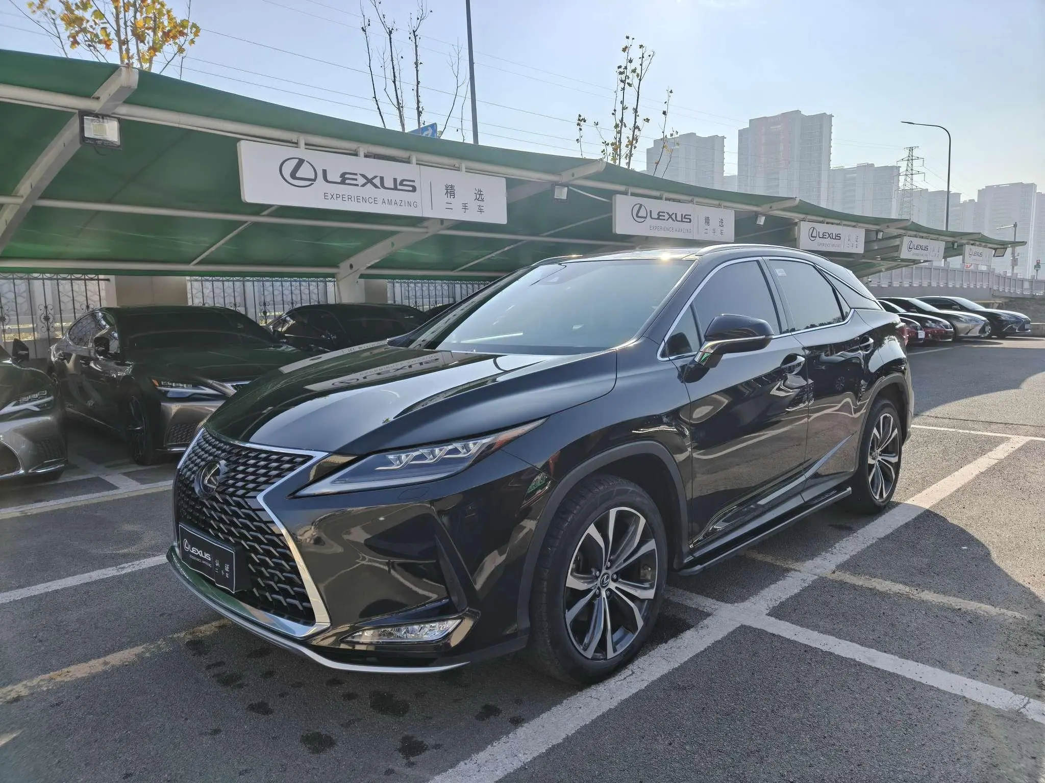 Lexus Lexus RX Facelift 300 four-wheel drive elegant version