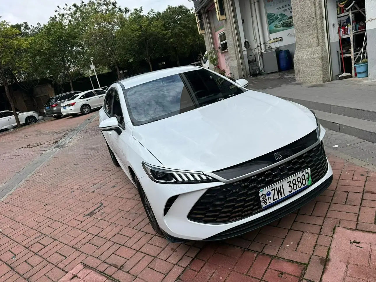 BYD Qin PLUS DM Smart driving version DM-i 55KM leading type