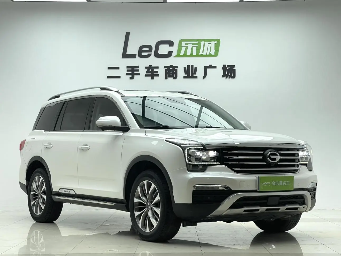 GAC Trumpchi GS8 320T two-wheel drive luxury Zhilian Edition 7 seats