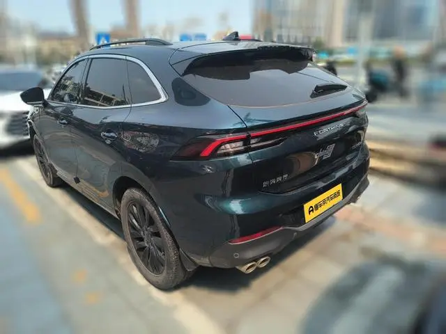 Dongfeng Fengxing Popular T5 EVO 1.5TD DCT Diamond Edition