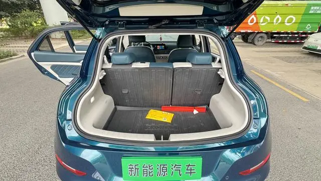 Ora Euler good cat 401km standard battery life luxury lithium iron phosphate