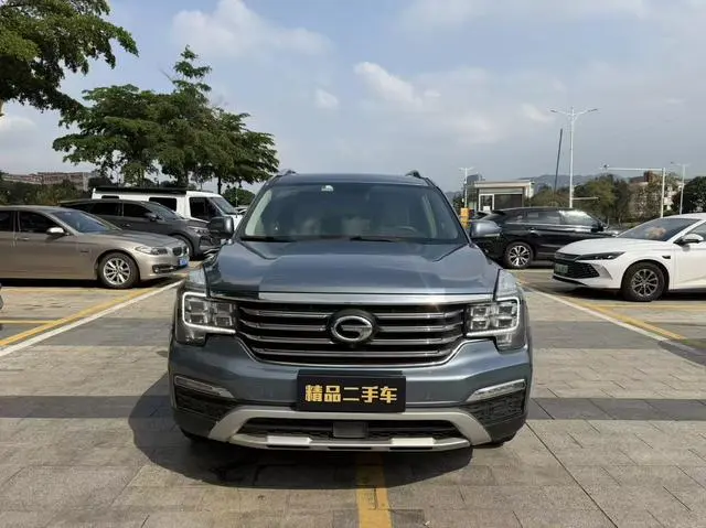 GAC Trumpchi GS8 320T two-wheel drive premium edition 7 seats