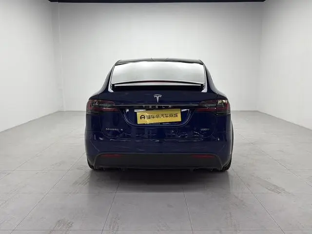 Tesla Model X 100D long battery life version