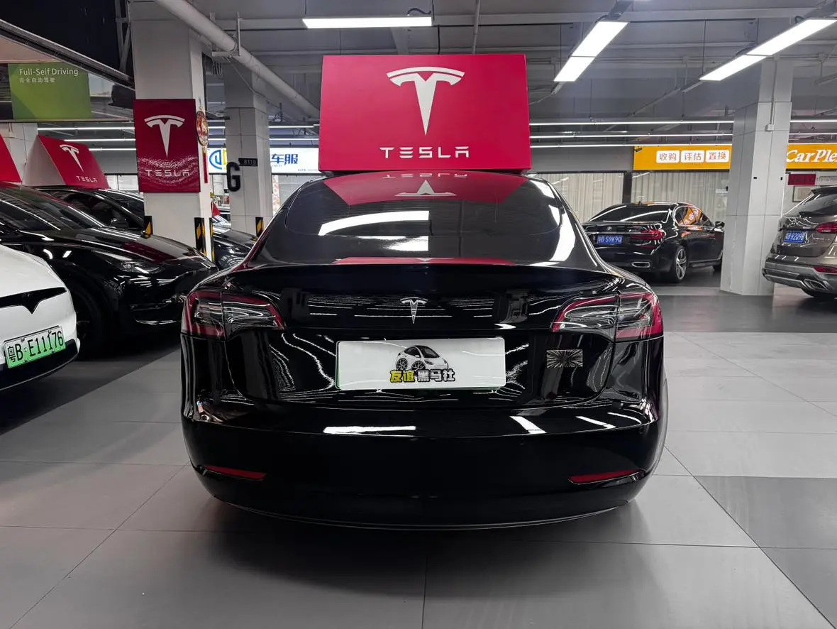 Tesla Model 3 Rear-wheel drive version