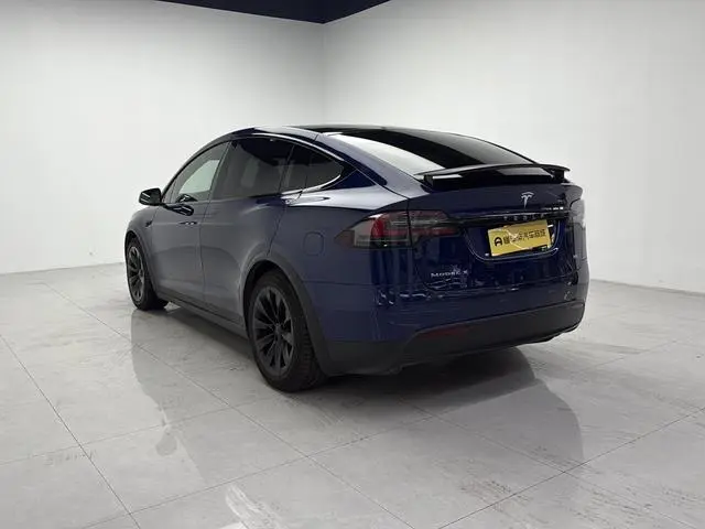 Tesla Model X 100D long battery life version