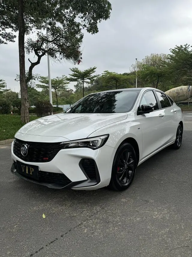 Buick Weilang Pro GS Hunting Wind Edition