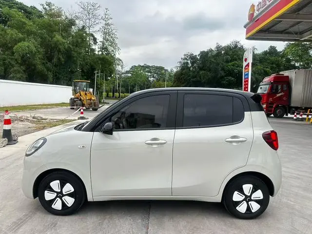 Wuling Wuling Hongguang MINIEV 205km Lithium iron phosphate four-door version Zhenxiang+ model