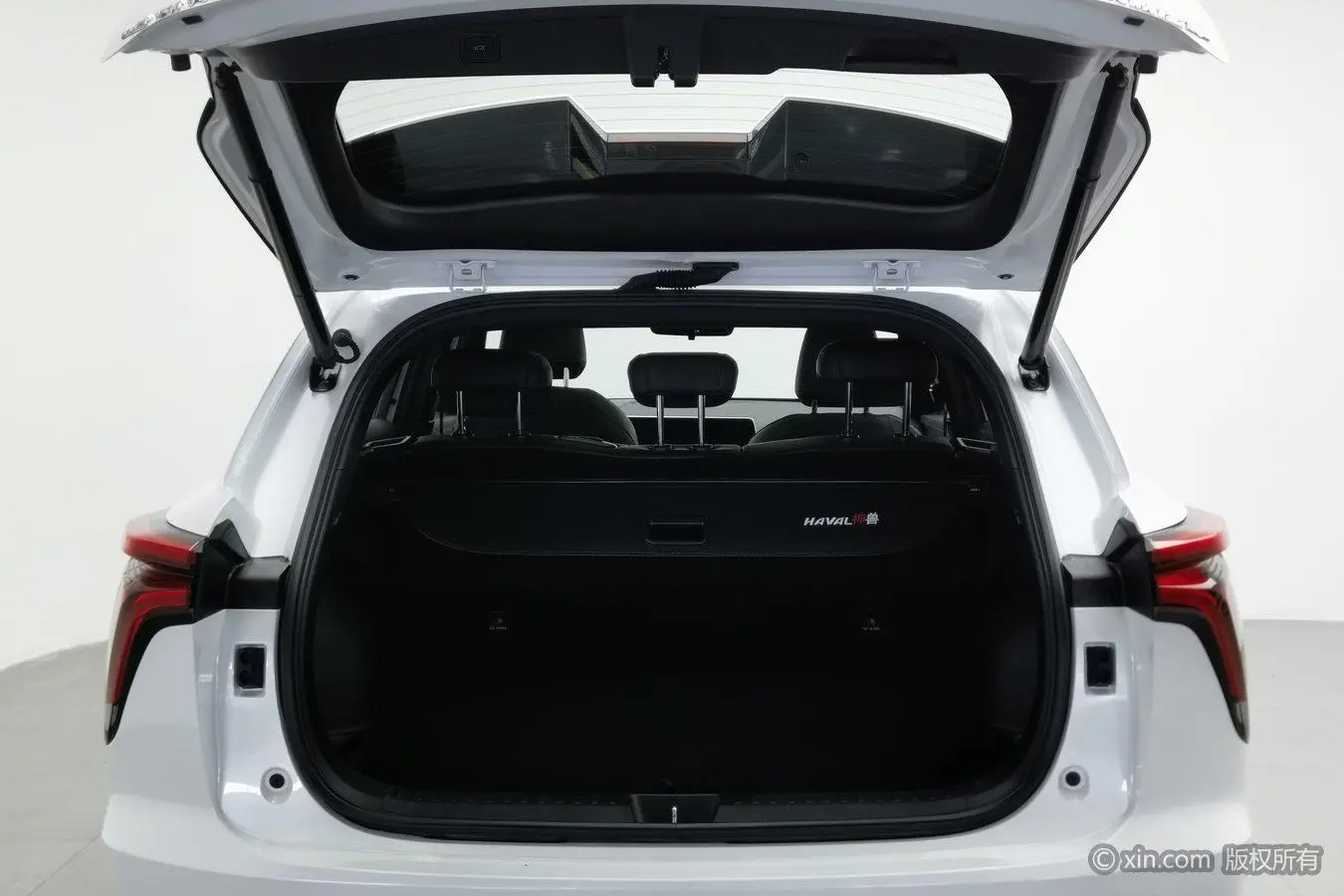 Haval Haval Beast 1.5T Smart Collar Version