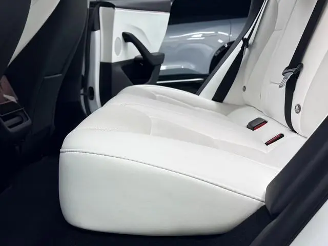 Tesla Model 3 Rear-wheel drive version