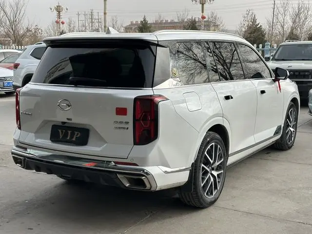 GAC Trumpchi GS8 Dual engine series 2.0TM hybrid two-wheel drive Premium Edition 7-seater