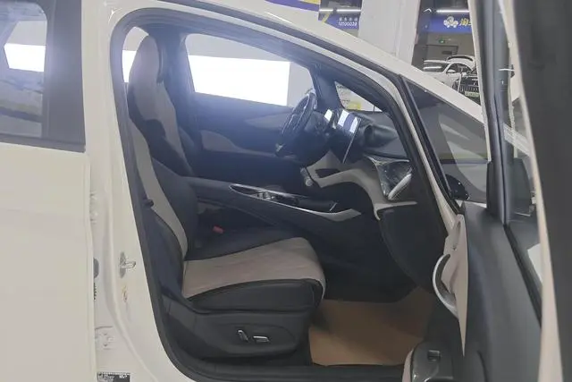 BYD dolphin Fashion edition