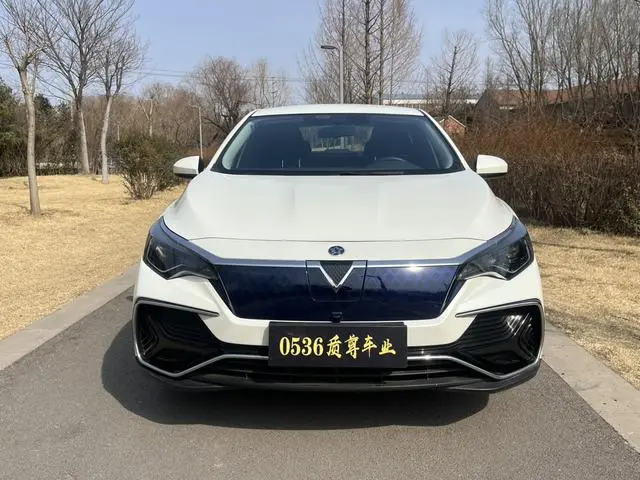 Venucia Qichen D60 EV PLUS CI Type Comfort Edition