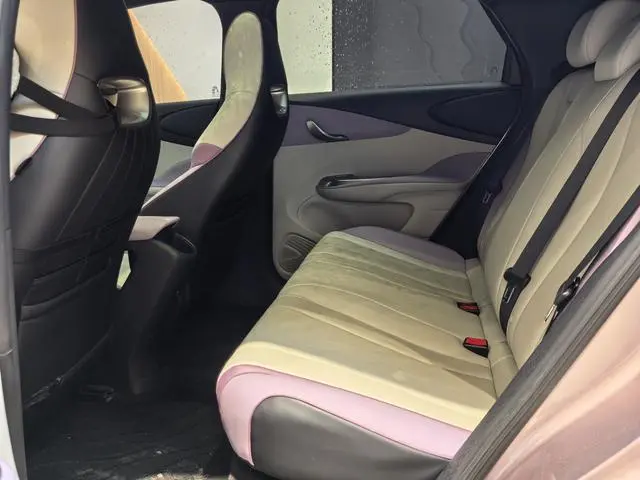 BYD dolphin Fashion edition