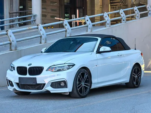 BMW BMW 2 Series (imported) 225i Convertible Coupe Exclusive M Sports Suit