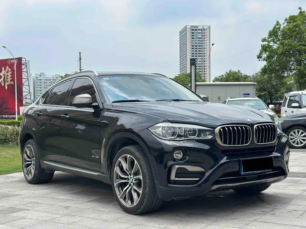 BMW BMW X6 xDrive35i Luxury