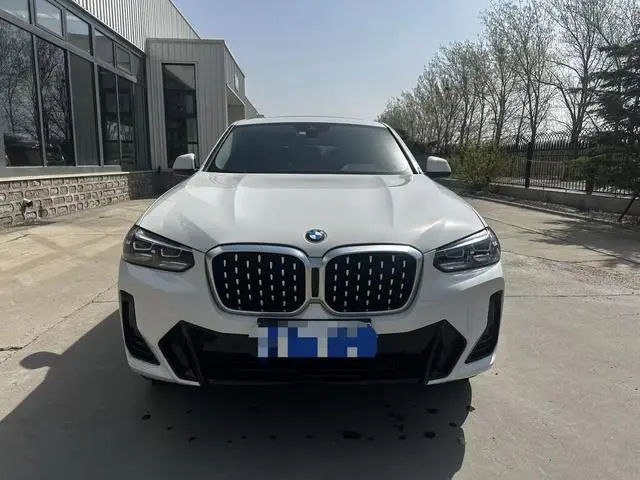 BMW BMW X4 xDrive 25i M sports suit