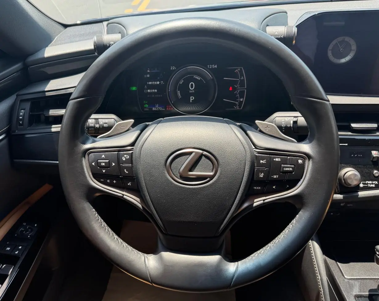 Lexus Lexus ES 300h Excellent Edition