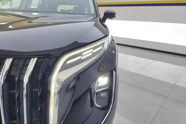 Hongqi Hongqi HS7 PHEV 2.0T four-wheel drive Qichang version 6 seats