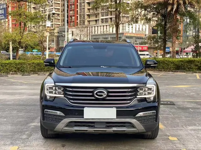 GAC Trumpchi GS8 320T two-wheel drive luxury Zhilian Edition 7 seats