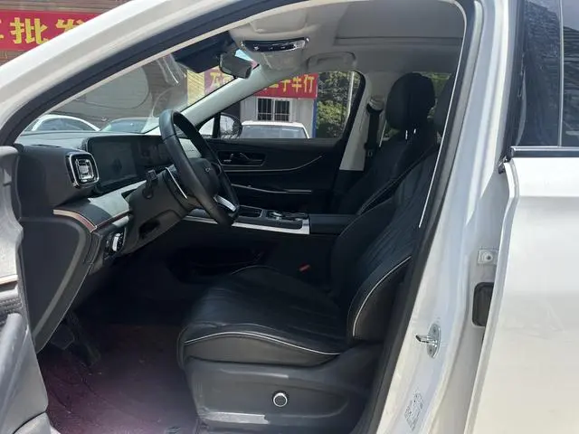 Chery Fulwin Tiggo 9 2.0T AT two-wheel drive Premium Edition 7 seats