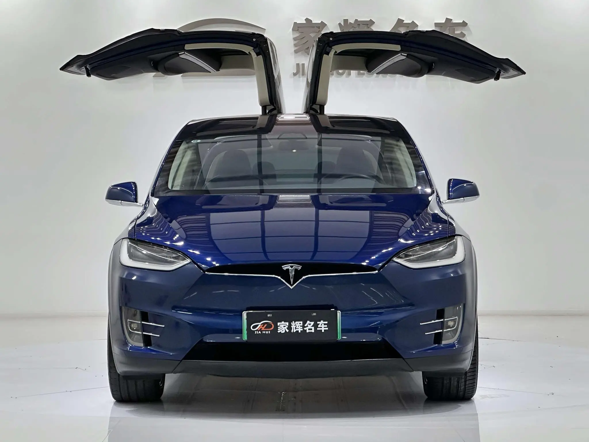 Tesla Model X 100D long battery life version
