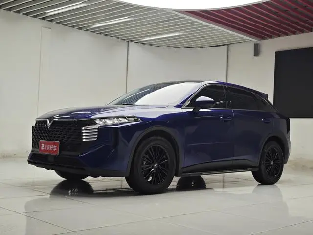 Venucia Qichenxing 260T Xingshang Edition Pro