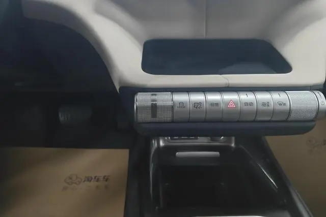 BYD dolphin Fashion edition