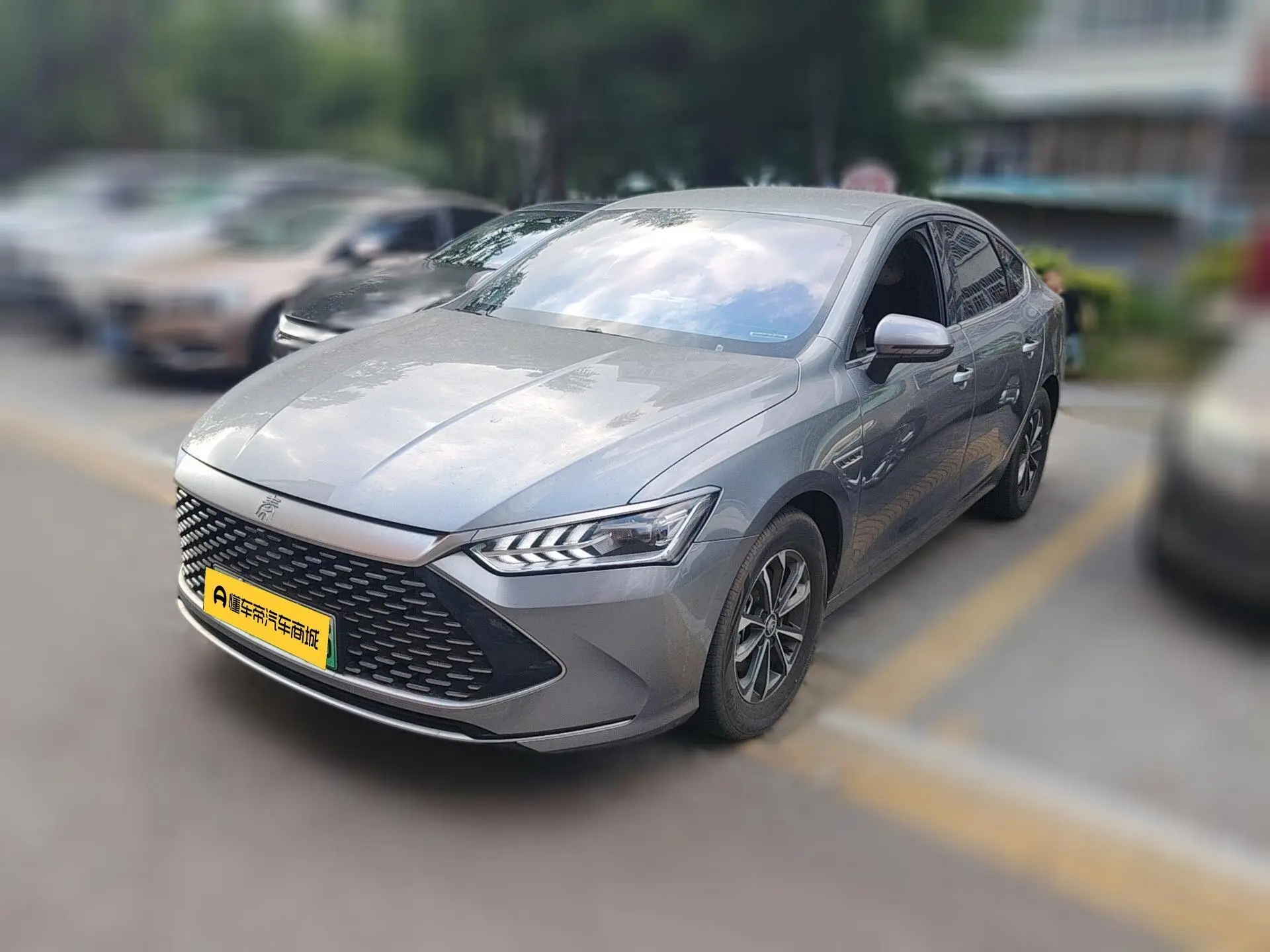 BYD Qin PLUS DM DM-i Champion Edition 55KM Leading Type