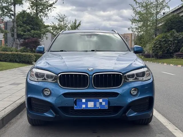 BMW BMW X6 xDrive35i leading type