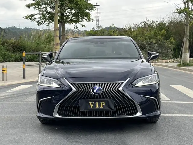 Lexus Lexus ES 300h Excellent Edition Country VI