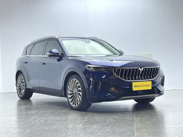 VOYAH Lan Tu FREE Four-wheel drive standard range extension exclusive luxury set