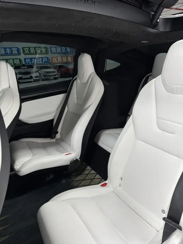 Tesla Model X 100D long battery life version