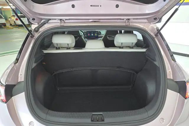 BYD dolphin Fashion edition