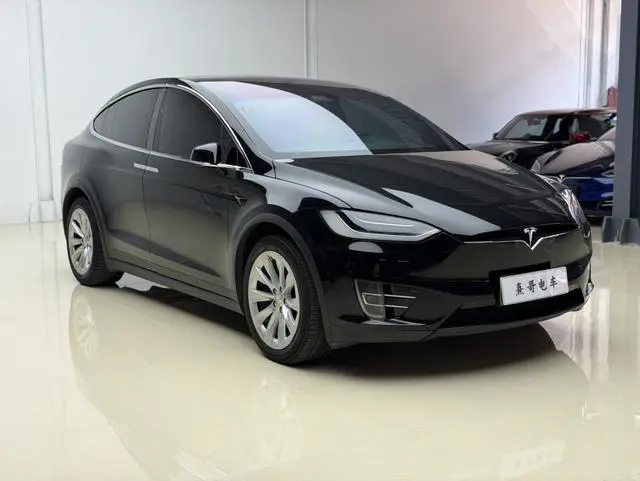 Tesla Model X 100D long battery life version