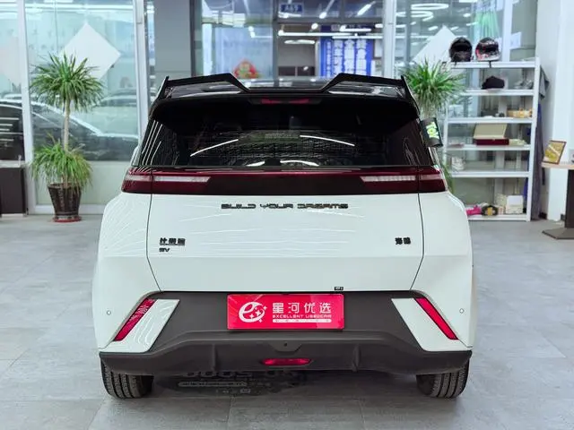 BYD Seagull Flying Version
