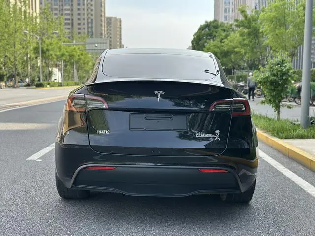 Tesla Model Y Performance high-performance all-wheel drive version