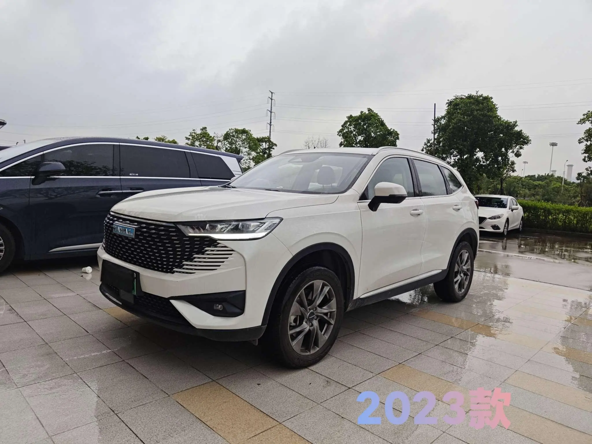 Haval Haval H6 PHEV 1.5T DHT-PHEV 110km Yuexing Edition