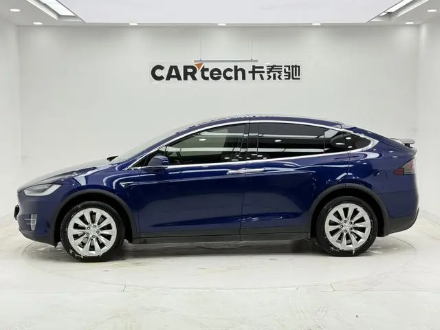 Tesla Model X 100D long battery life version