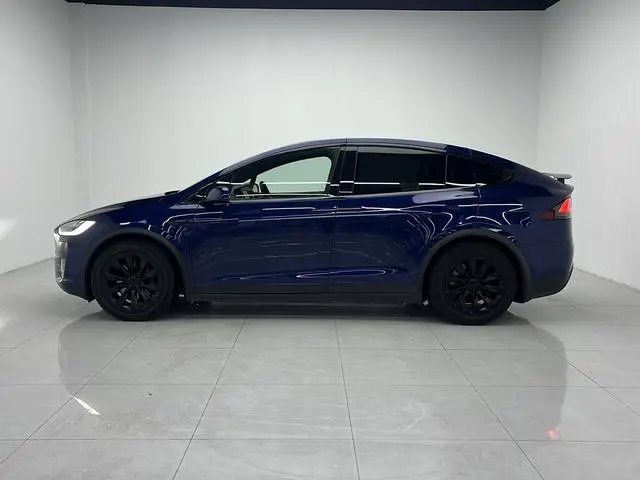 Tesla Model X 100D long battery life version